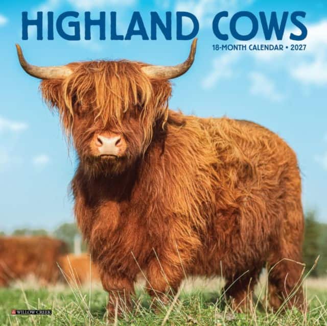Highland Cows 2027 Mini av Willow Creek Press