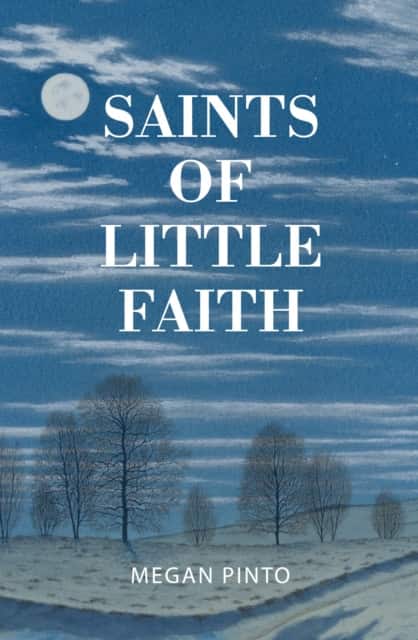 Saints of Little Faith av Megan Pinto