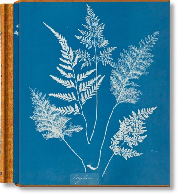 Anna Atkins