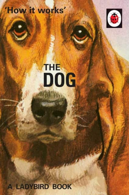 How it Works: The Dog av Jason Hazeley