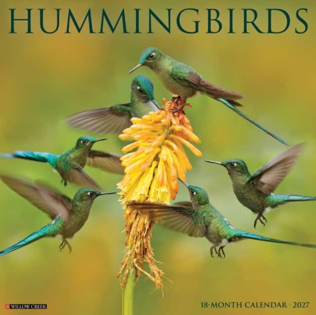 Hummingbirds 2027 Wall av Willow Creek Press
