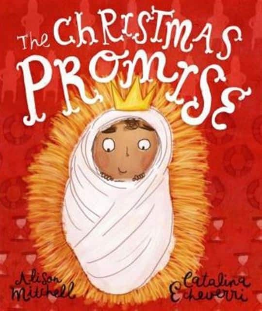 The Christmas Promise Storybook av Alison Mitchell