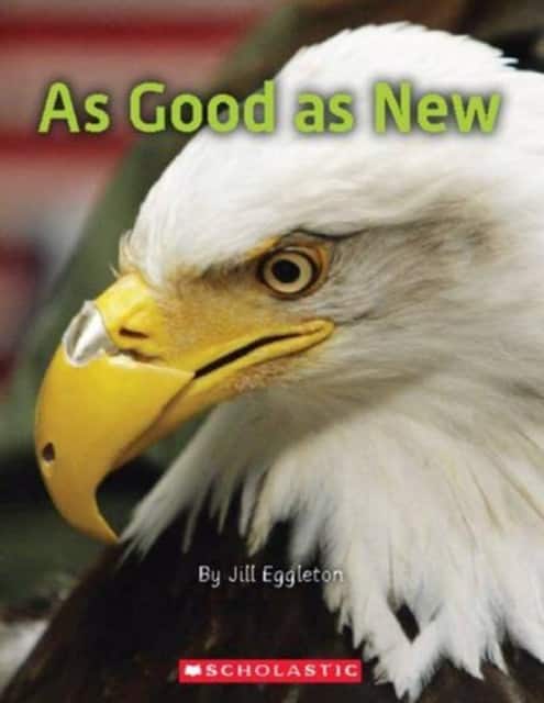 As Good as New av Jill Eggleton