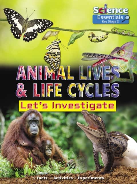Animal Lives and Life Cycles av Ruth Owen