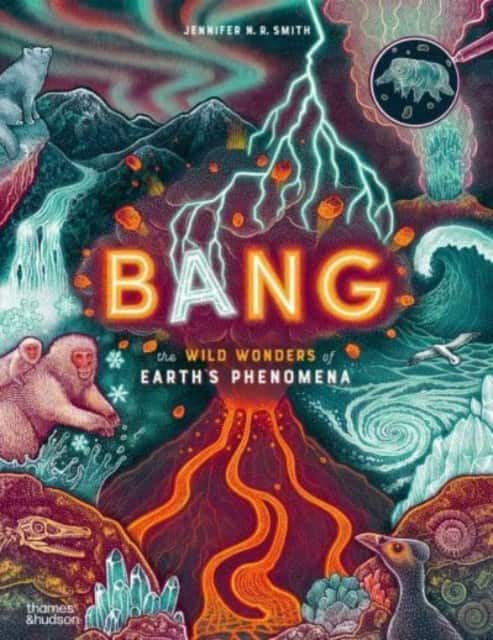 Bang av Jennifer N. R. Smith