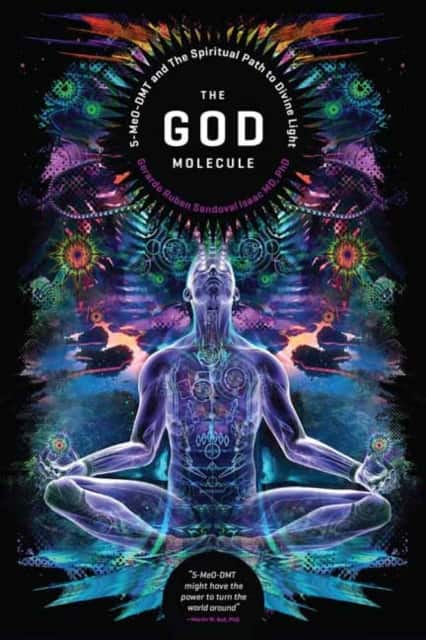 The God Molecule av Mr Gerado Ruben Sandoval Isaac