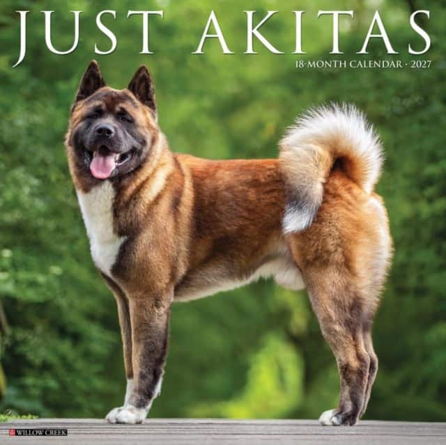 Akitas 2027 Wall av Willow Creek Press