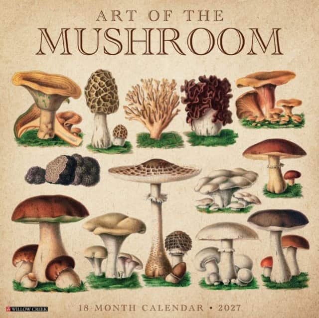 Art of the Mushroom 2027 Wall av Willow Creek Press