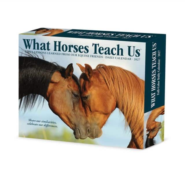 What Horses Teach Us 2027 Box av Willow Creek Press
