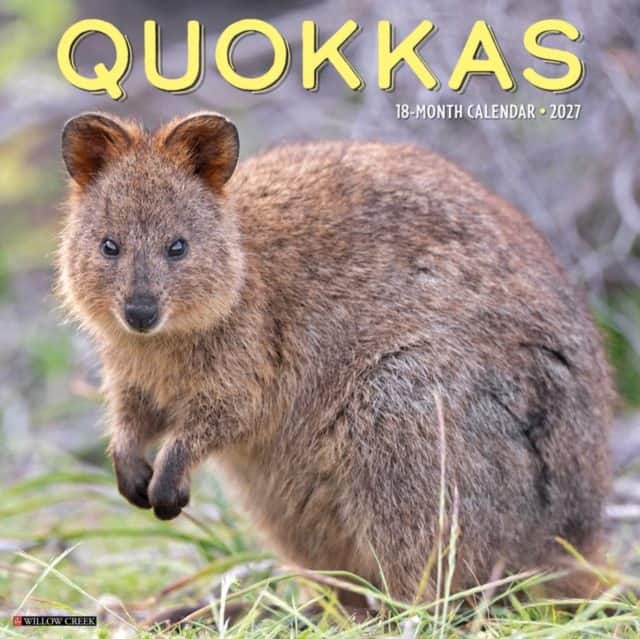 Quokkas 2027 Wall av Willow Creek Press