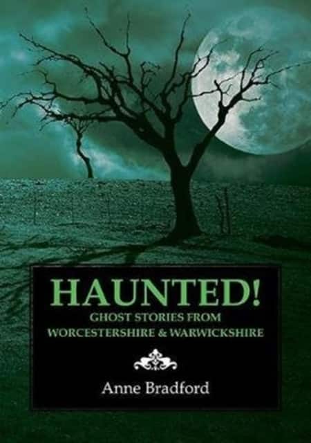 Haunted! av Anne Bradford