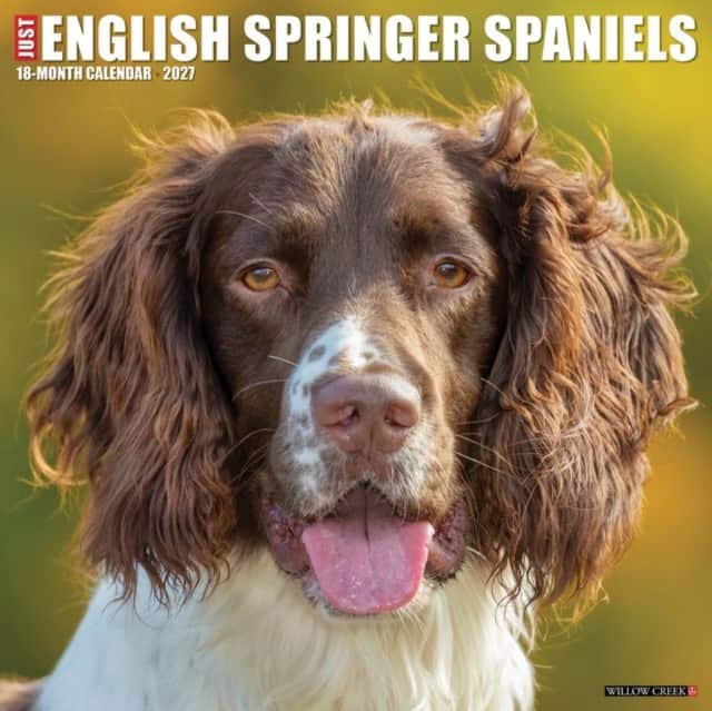 English Springer Spaniels 2027 Wall av Willow Creek Press