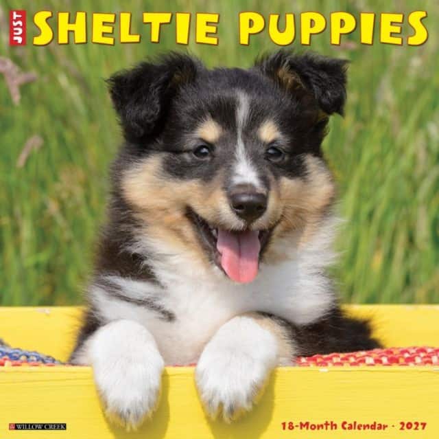 Sheltie Puppies 2027 Wall av Willow Creek Press