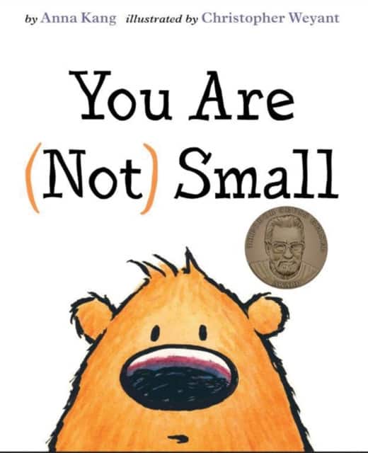 You are Not Small av Anna Kang