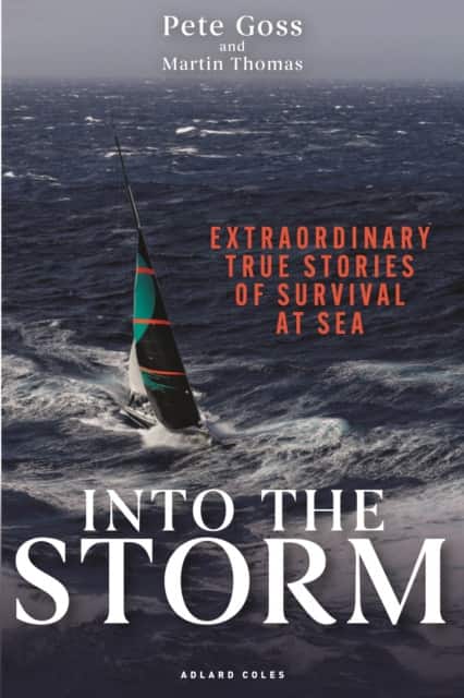 Into the Storm av Pete Goss