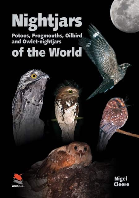 Nightjars, Potoos, Frogmouths, Oilbird, and Owlet–nightjars of the World av Nigel Cleere
