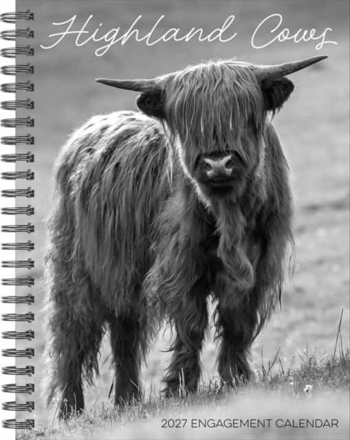 Highland Cows 2027 Engagement av Willow Creek Press