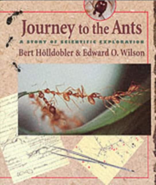Journey to the Ants – A Story of Scientific Exploration (Paper) av Bert Hölldobler