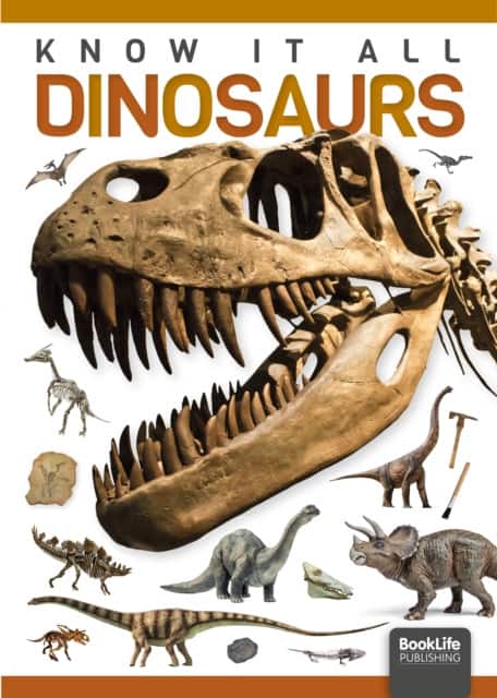 Dinosaurs av Louise Nelson