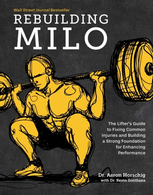 Rebuilding Milo av Aaron Horschig