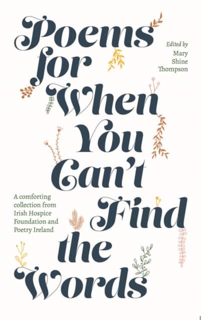 Poems for When You Can't Find the Words av Mary Shine Thompson