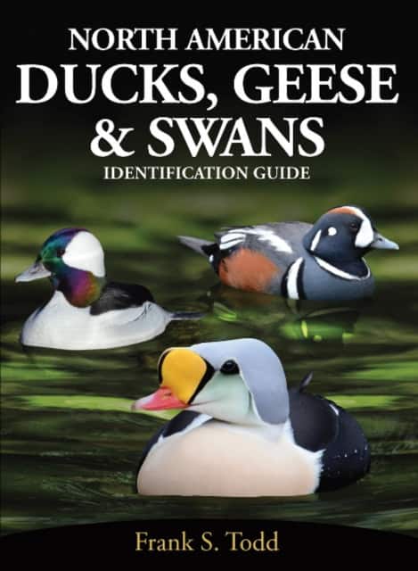North American Ducks, Geese and Swans av Frank Todd