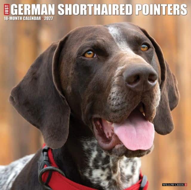 German Shorthaired Pointers 2027 Wall av Willow Creek Press