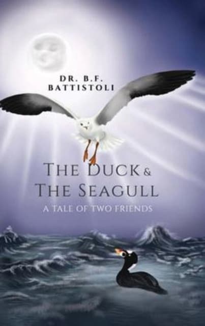 The Duck & the Seagull