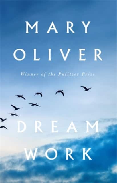 Dream Work av Mary Oliver