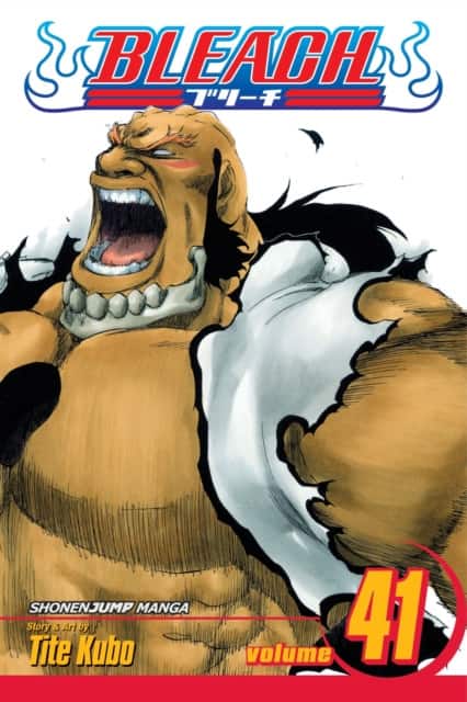 Bleach, Vol. 41 av Tite Kubo