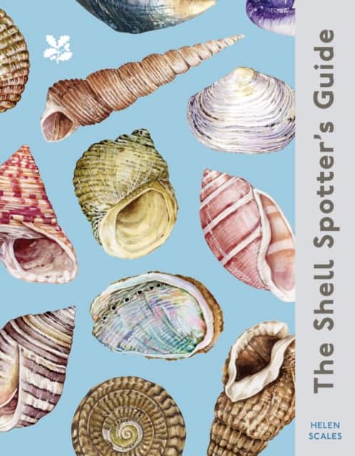 The Shell Spotter’s Guide av Helen Scales