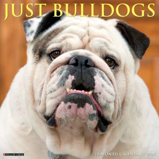 Bulldogs 2027 Wall av Willow Creek Press