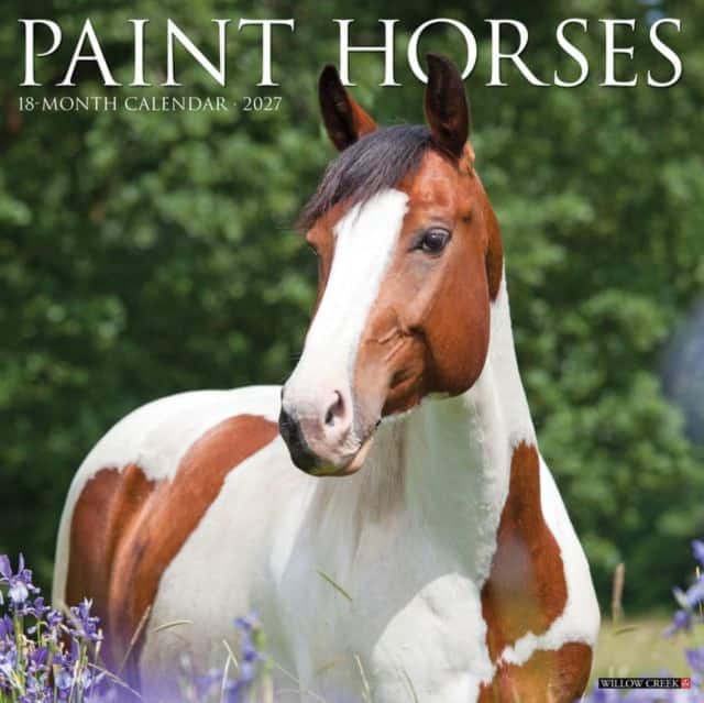 Paint Horses 2027 Wall av Willow Creek Press