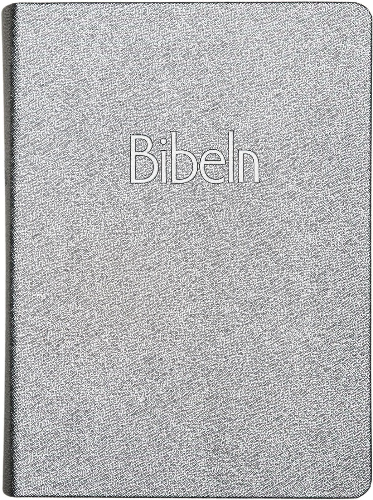 Bibel 2026 silver