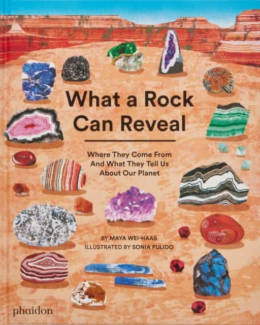 What a Rock Can Reveal av Maya Wei-Haas