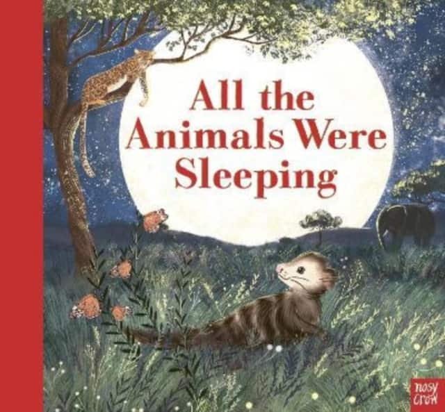 All the Animals Were Sleeping av Clare Helen Welsh