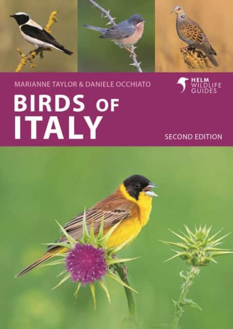 Birds of Italy av Marianne Taylor