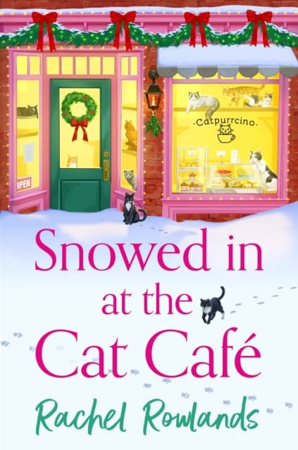 Snowed In at the Cat Cafe