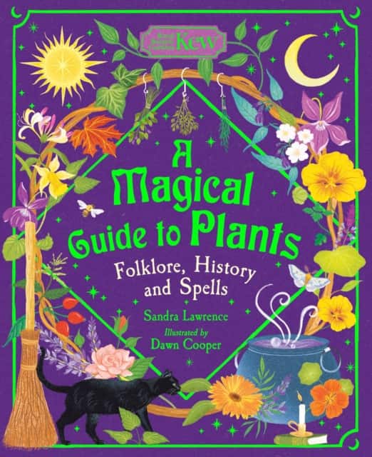 A Magical Guide to Plants av Sandra Lawrence