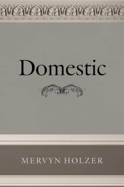 Domestic av Mervyn Holzer