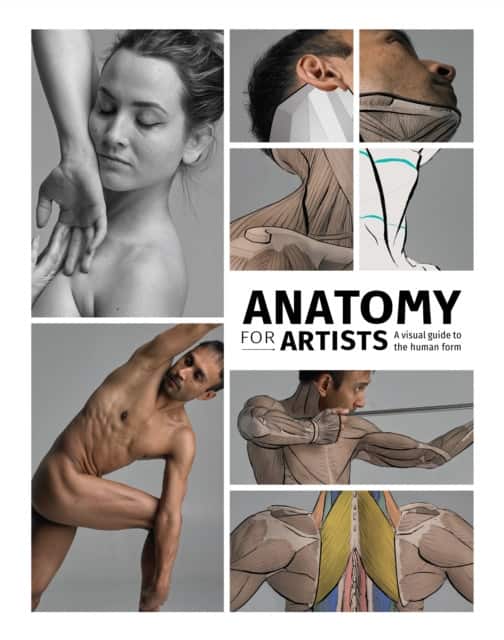 Anatomy for Artists av 3dtotal Publishing