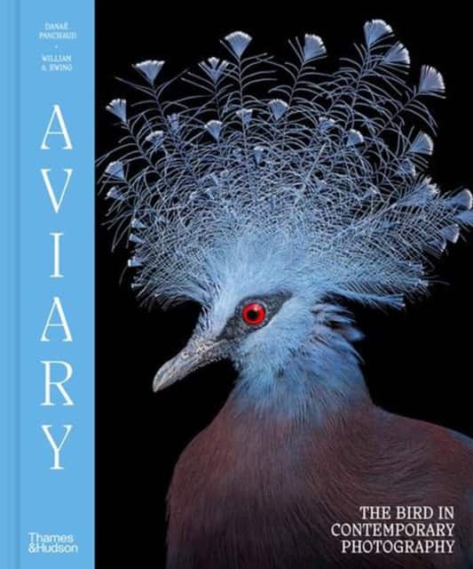 Aviary av William A. Ewing
