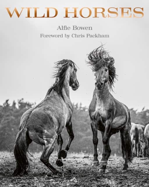 Wild Horses av Alfie Bowen