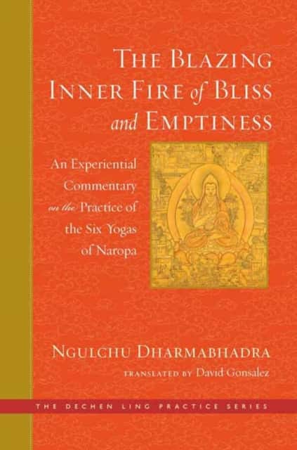 The Blazing Inner Fire of Bliss and Emptiness av David Gonsalez