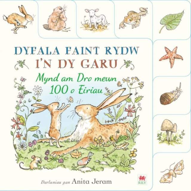 Dyfala Faint Rydw i'n dy Garu: Mynd am Dro mewn 100 o Eiriau av Walker Books