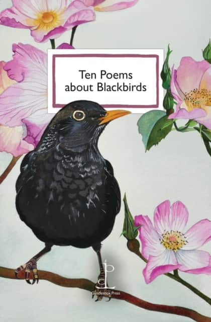 Ten Poems about Blackbirds av Di Slaney