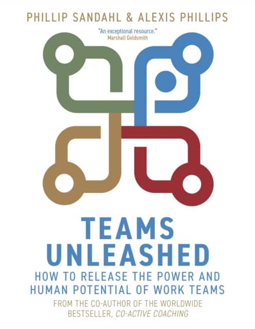 Teams Unleashed av Alexis Phillips