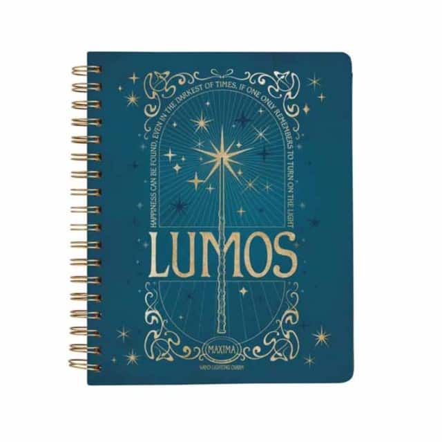 Harry Potter: Spells and Potions 12-Month Undated Planner av Insight Editions