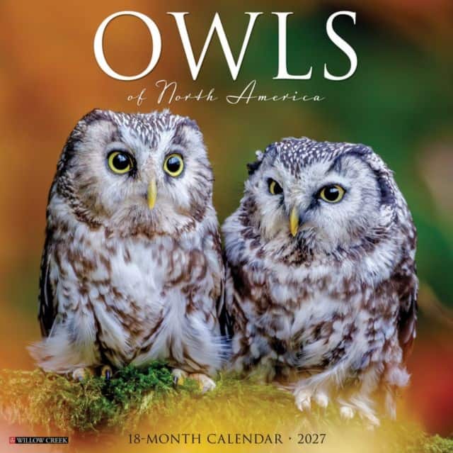 Owls of North America 2027 Wall av Willow Creek Press