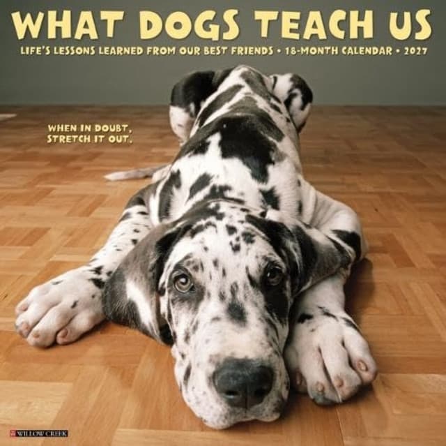 What Dogs Teach Us 2027 Wall